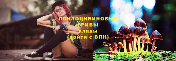 прущие грибы Гусиноозёрск