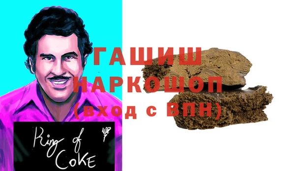 прущие грибы Гусиноозёрск