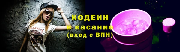 тгк Гусев