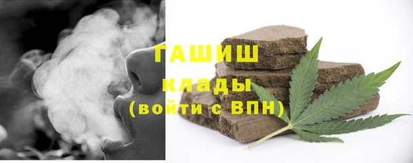 тгк Гусев