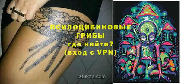 прущие грибы Гусиноозёрск