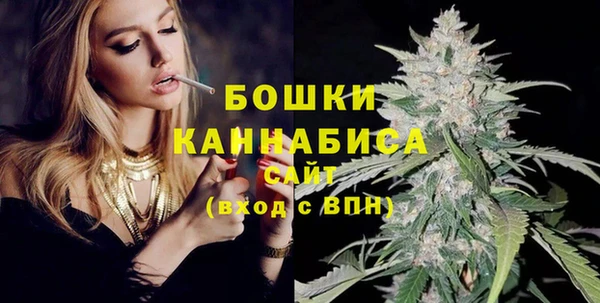 тгк Гусев