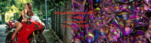 MDMA Медногорск