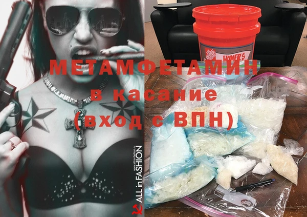 прущие грибы Гусиноозёрск