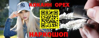 гашик Будённовск