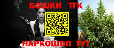 индика Беслан