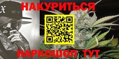 гашик Будённовск