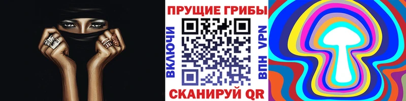 магазин    omg онион  Псилоцибиновые грибы ЛСД  Торжок 