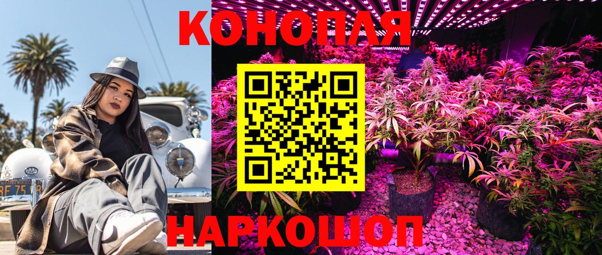 Торжок  Шишки марихуана THC 21%  Вход с VPN  Бошки Шишки MAZAR 